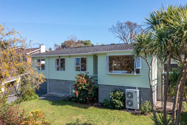 103 Tilley Road Paekakariki_3