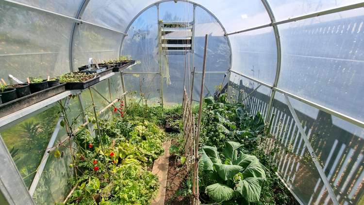 1D Dodson Road Takaka_18