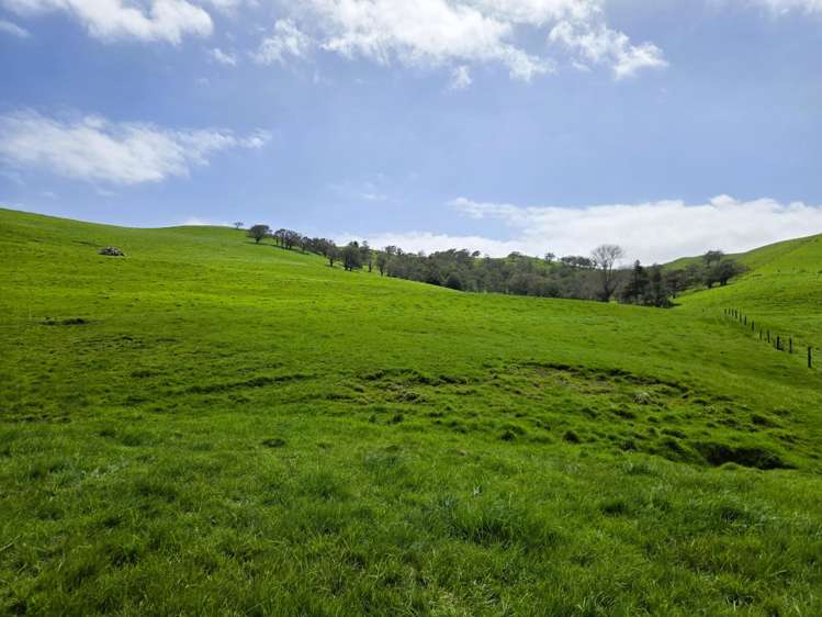 3050 Mititai Road Dargaville_11