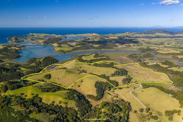 61 Mornington Way Parua Bay_3