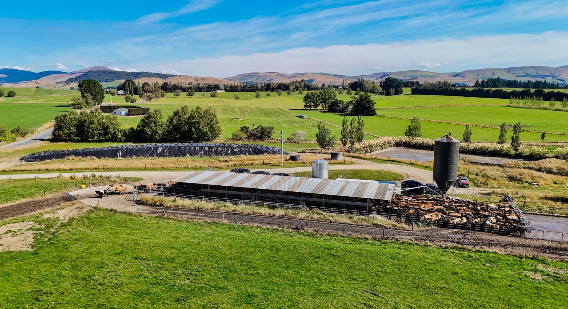 630 Clydevale Road Ashley Downs_0
