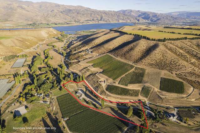 Lot 2/50 Heaney Road, RD 2 Cromwell_1