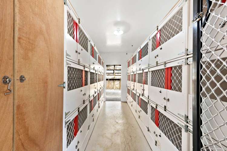 83 Smythe Road Henderson_12