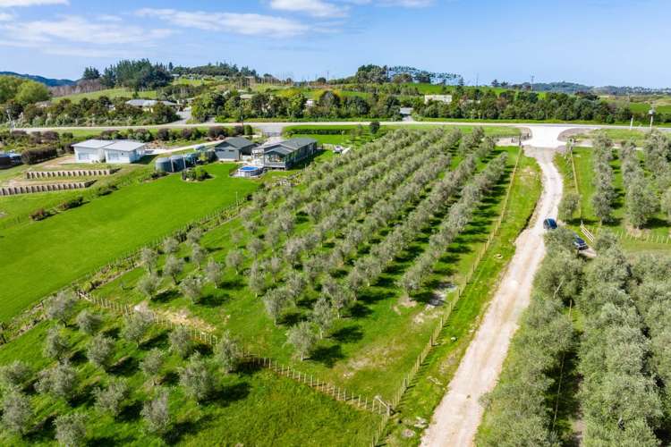 Lot 1/3 Bagnal Road Mangawhai_5