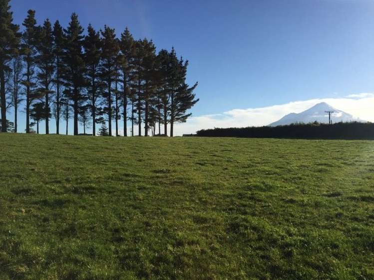 311 Opunake Road Cardiff_40