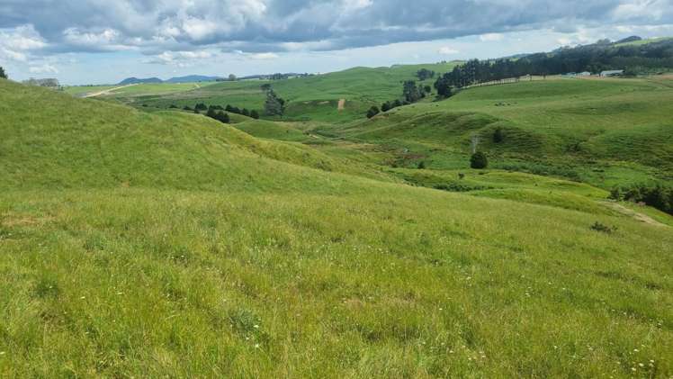 Okokako Road Waimate North_6