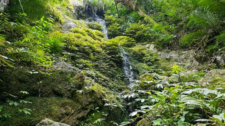 3211 Russell Road Whangaruru_12