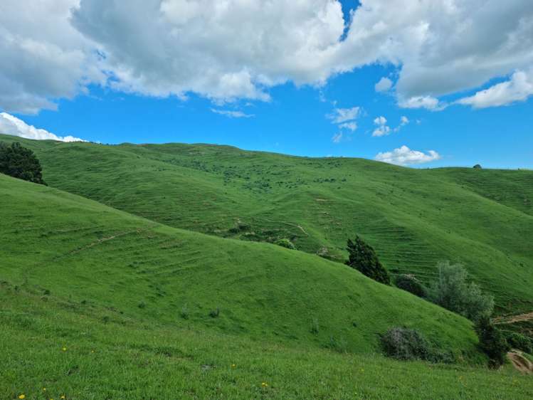 852 Mangawara Road Tahuna_17