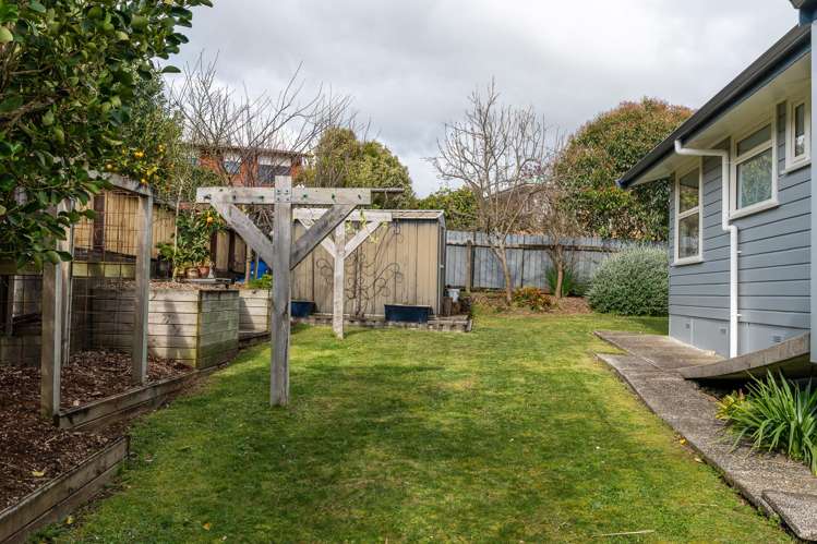 26 Thomson Avenue Dinsdale_20