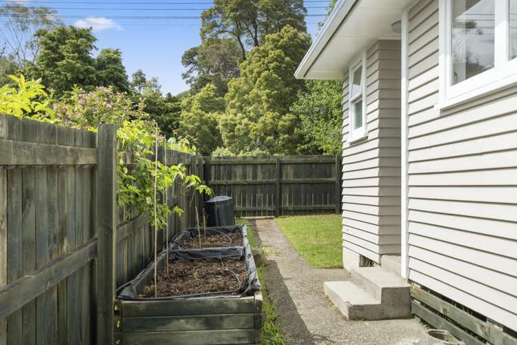 1 Mcintyre Avenue Whakarewarewa_12