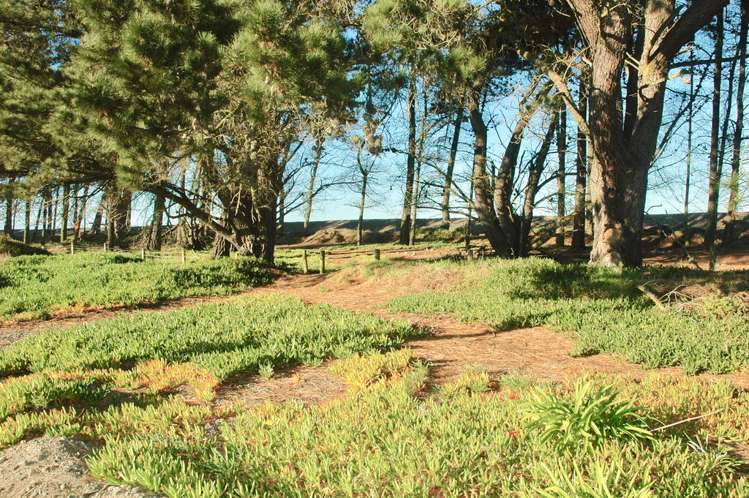 12 Chamberlain Avenue Amberley_7