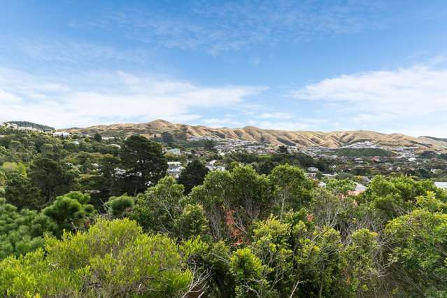 4 Ronald Woolf Place Churton Park_3