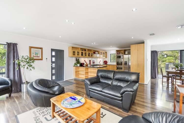 39 Horseshoe Bush Road Dairy Flat_2