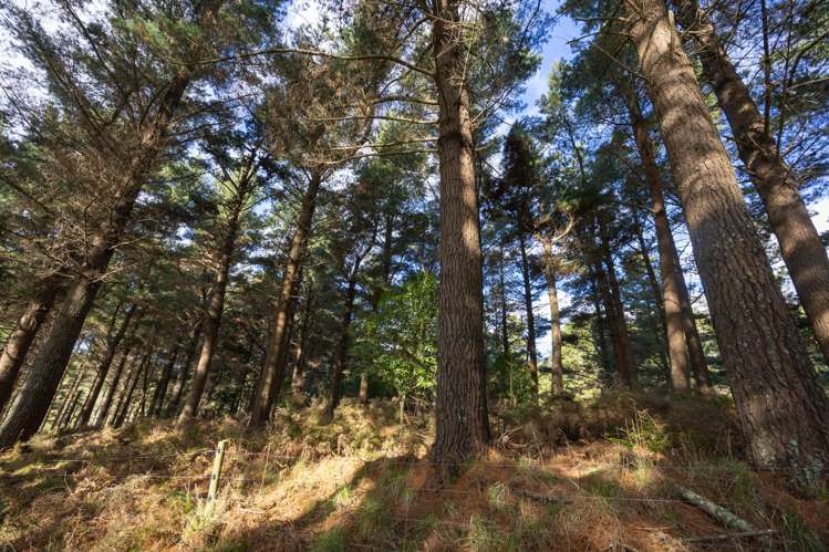 No 1 Line Pohangina_15