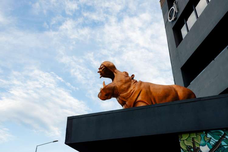 4/257F Wakefield Street Te Aro_7