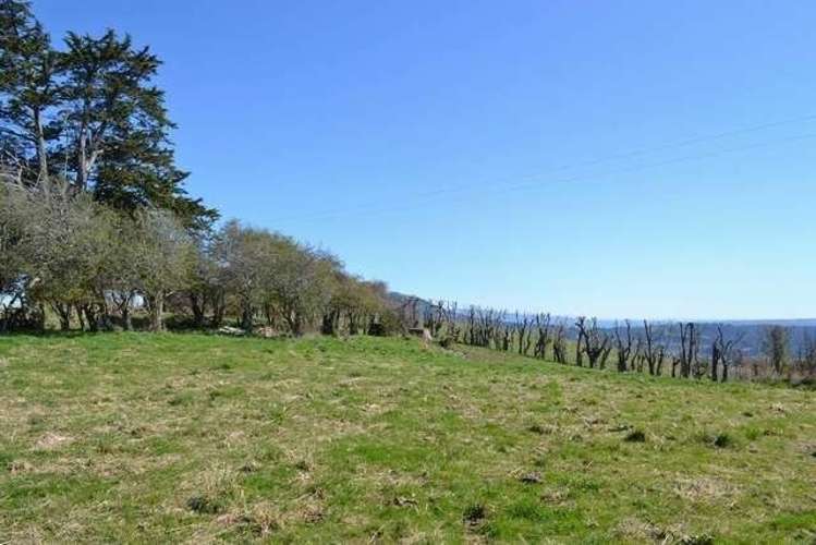 215 Green Island Bush Road Waldronville_2