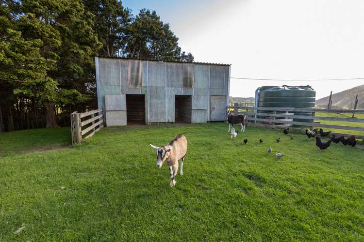 63b Poyner Road Makarau_15