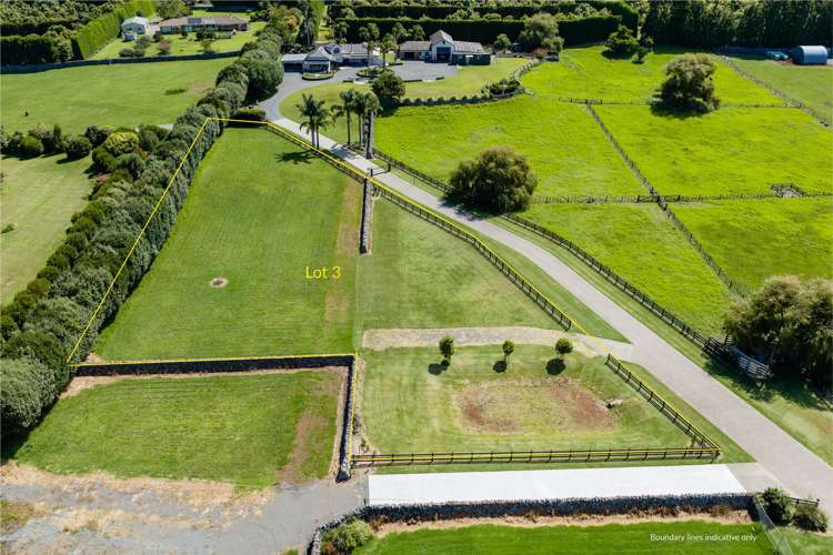 Lots 1-3/31 Millington Road Maunu_16