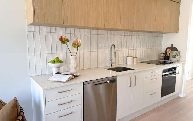 Beach Grove Development McGarry Drive Kaiapoi_2