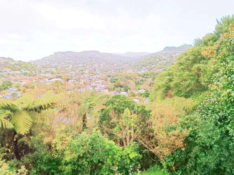 48 Fox Street Ngaio_11