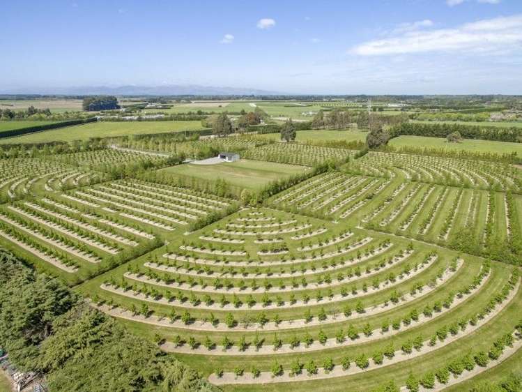 293 Lawford Road West Melton_13