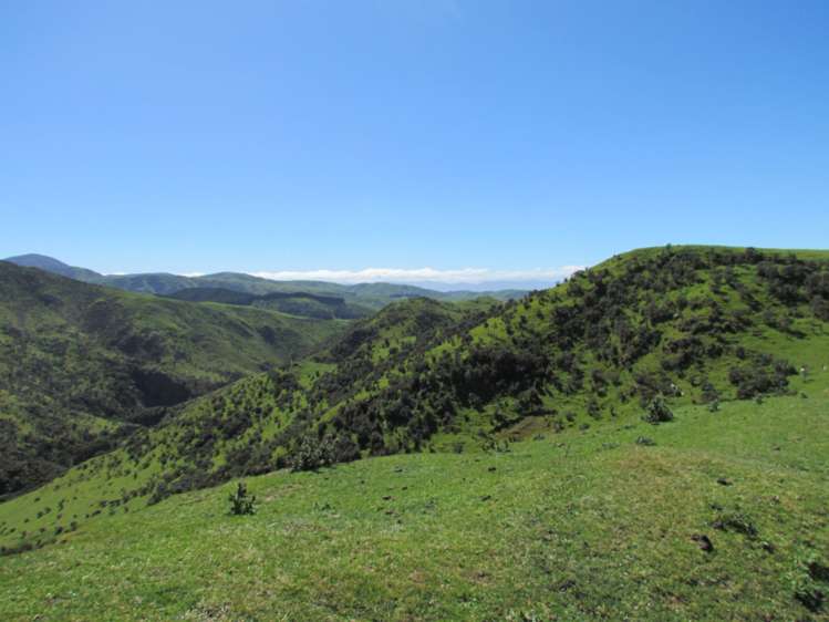 139 Clay Creek Road Ruakokoputuna_14