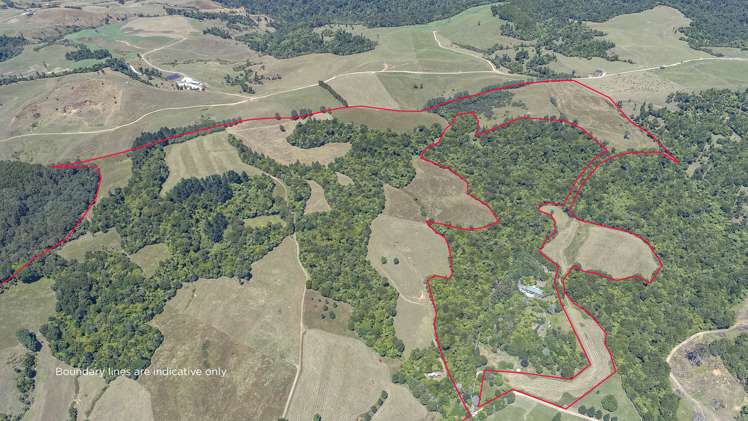 43b Walls Road Waihi_7