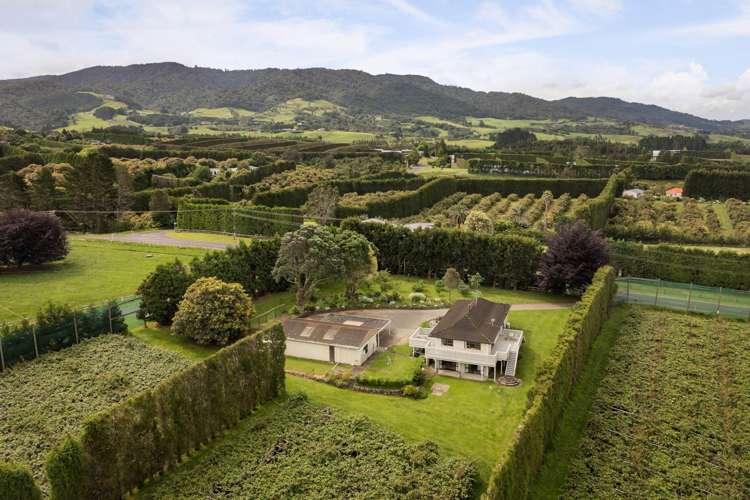 287 Wharawhara Road Katikati_37