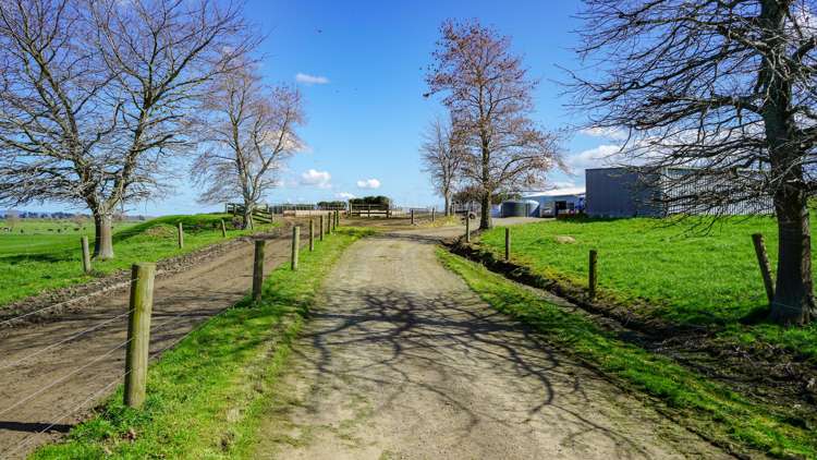 81 Station Road Puriri_10