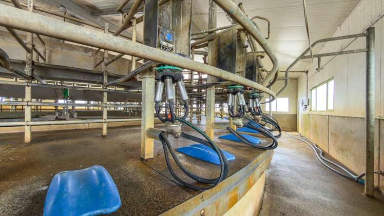 156 Front Miranda Road Waitakaruru_5