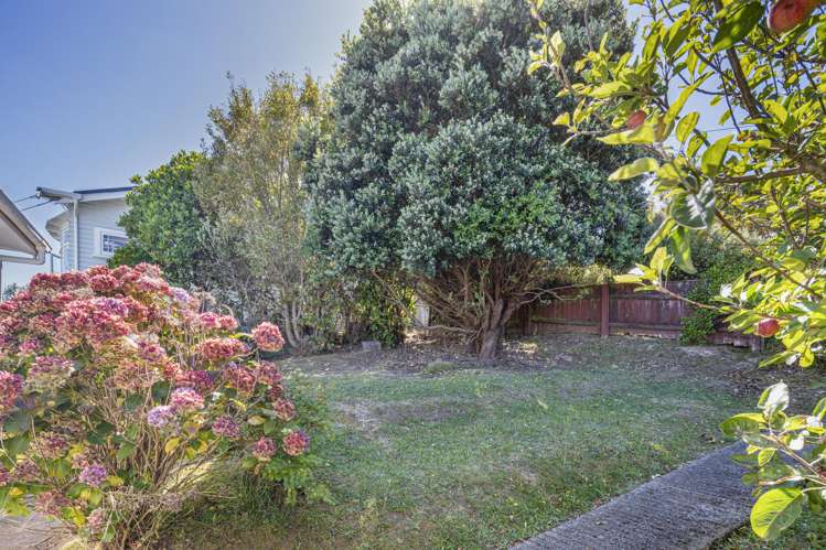 14 Totara Terrace Miramar_10