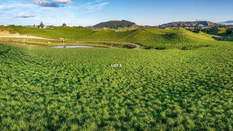 Lots 1 - 4, 2333 Puketitiri Road Rissington_10