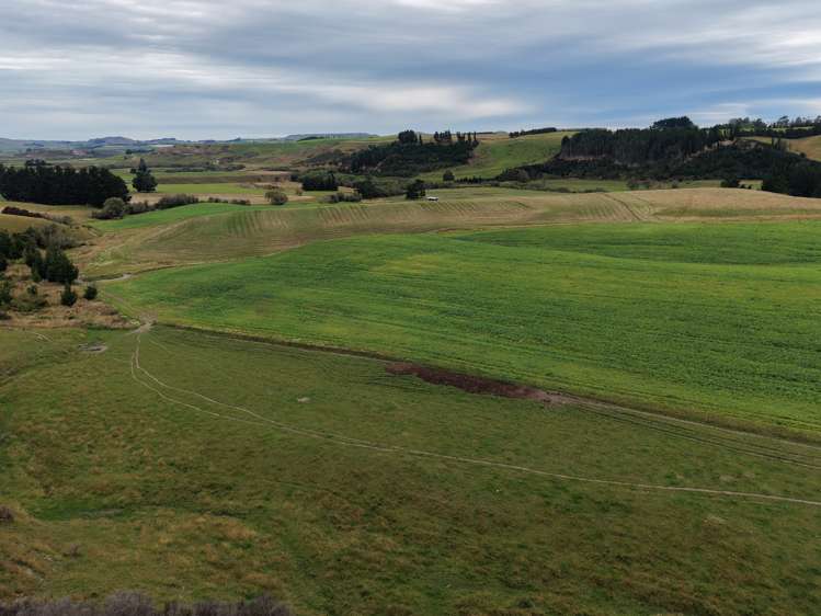 158 Kowhatu Road Waimate_12