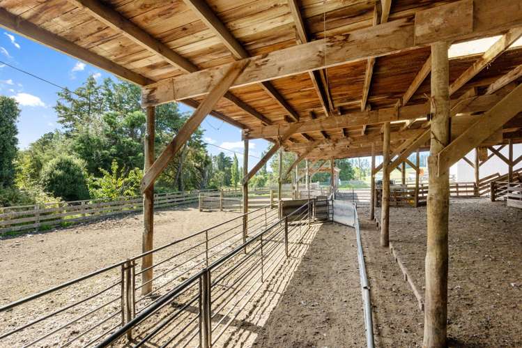 299 Domett Road Domett_18