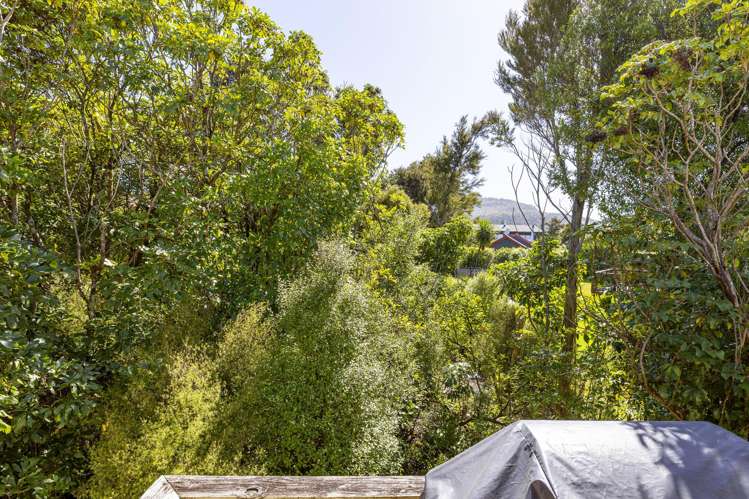 2/5 Pikikotuku Place Kuratau_20