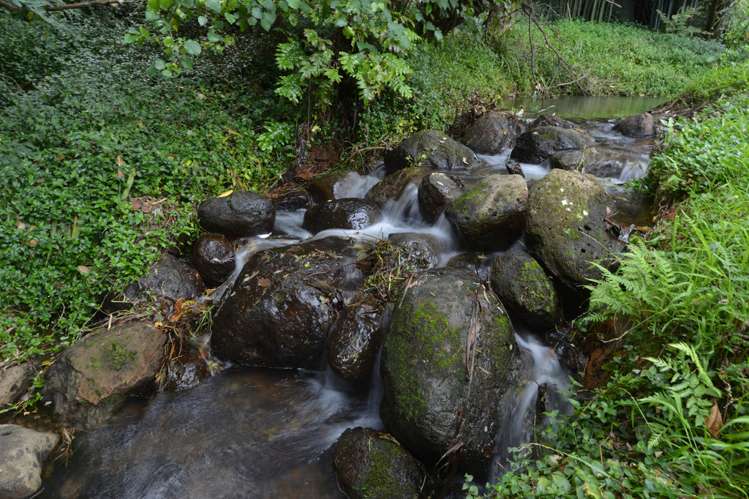 91 Pipiwai Road Ngararatunua_23