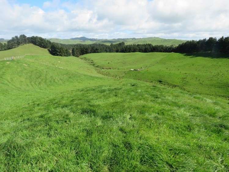 1072 Mangatuna Road Rangitikei Surrounds_5