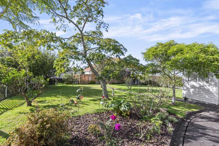 3 Handley Avenue Narrow Neck_11