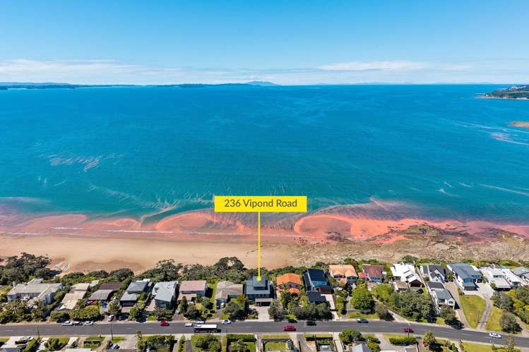 236 Vipond Road Stanmore Bay_21