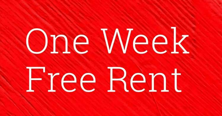 49 Heriot Row North Dunedin_21