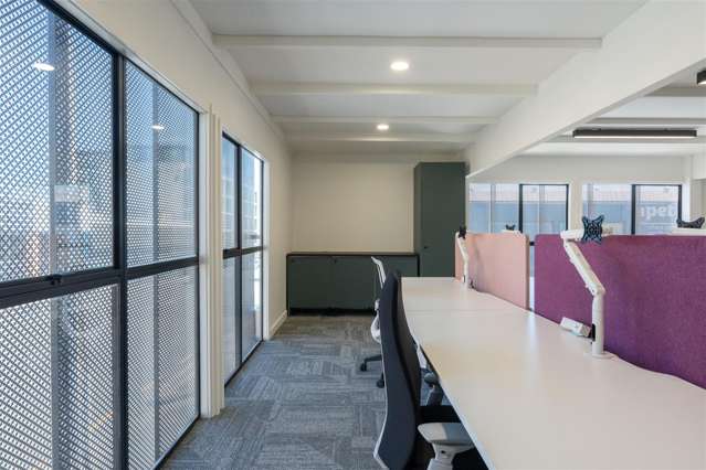 7 Rose Road Grey Lynn_2