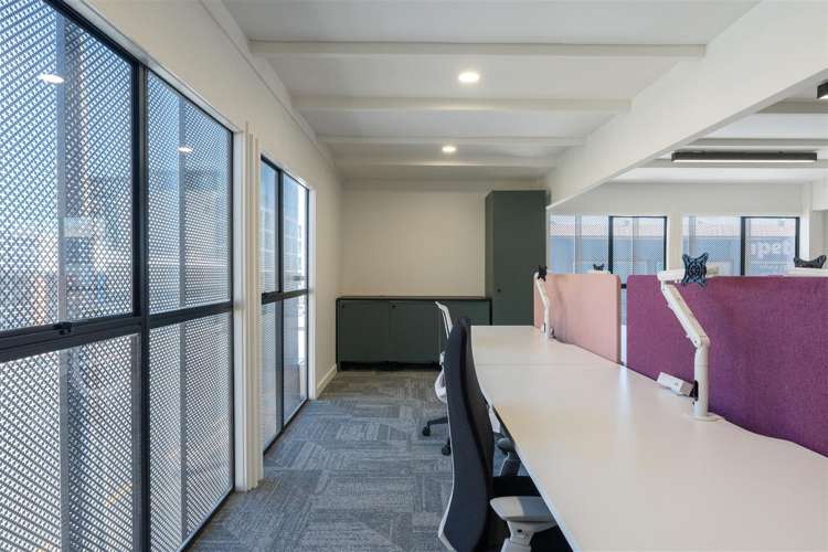 7 Rose Road Grey Lynn_2