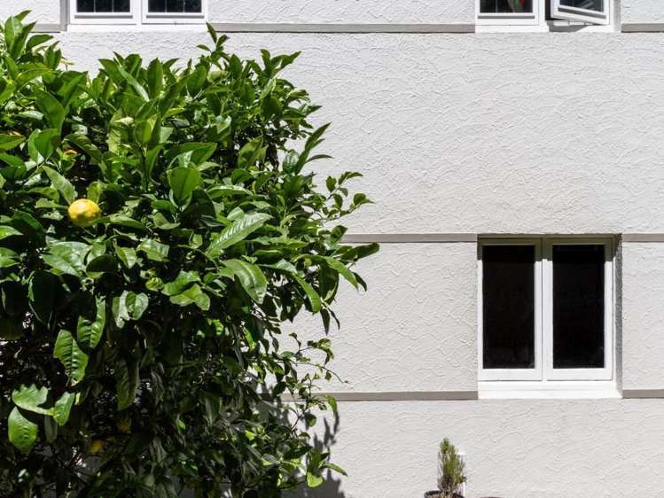 3/7 Maurice Terrace Te Aro_9