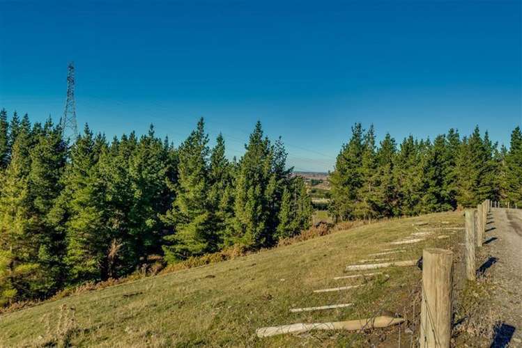 308b Cones Road Loburn_8