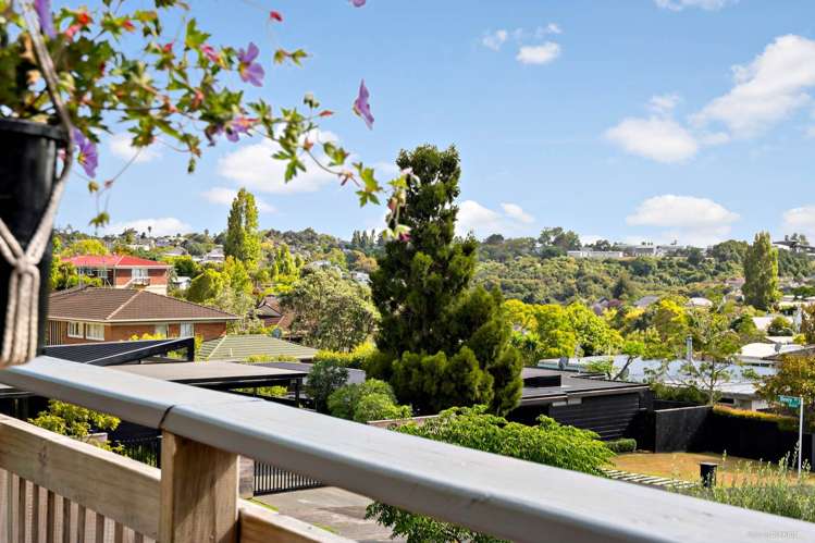 1/15 Archdall Street Meadowbank_12