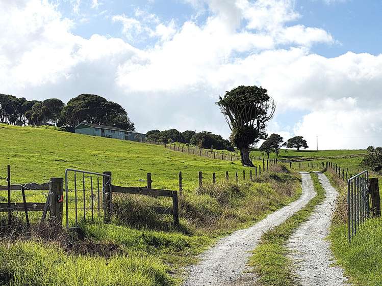 435 Parahi Road Ruawai_23