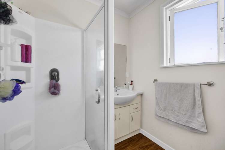 336 Carrington Street Vogeltown_10