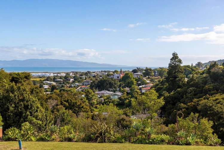 228 The Booms Avenue Thames_3