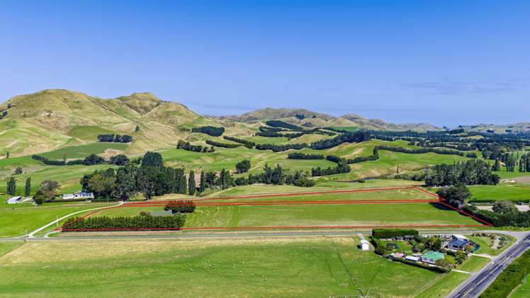 36 Seddon Street Ward_23