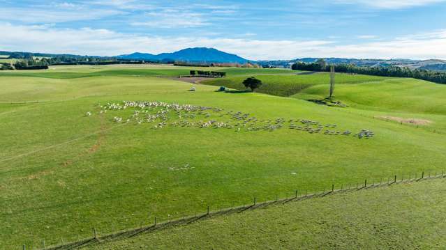 897 Marshmans Road Sefton_4